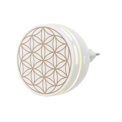 Aroma Plug-in Diffuser