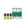 DOFTANDE SKOGSKRAFT 3x 5 ml. ekologiska eteriska oljor
