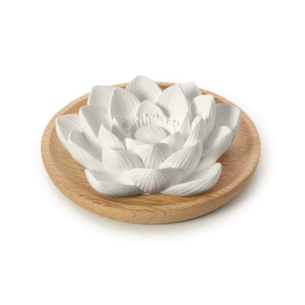 LOTUS Doftsten fr eteriska oljor