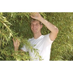 Yoga T-shirt herre - Hvid