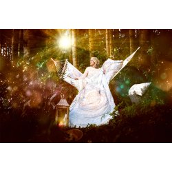 Sengetj, kologisk - Soulshine