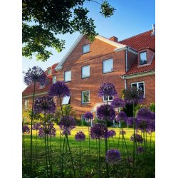 Mn Yoga Retreat 24-26. april 2026