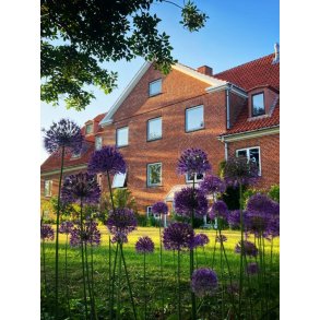 Mn Yoga Retreat 24-26. april 2026