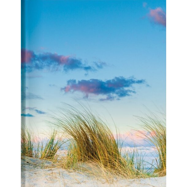 Notebook Beach