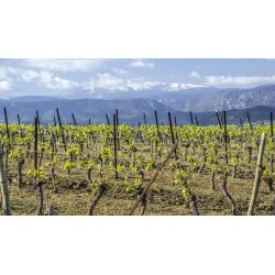 Frankrig Yoga Retreat 18-25. september 2026