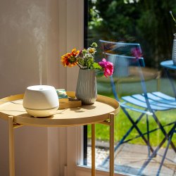 Diffuser, Taowell Ambiente