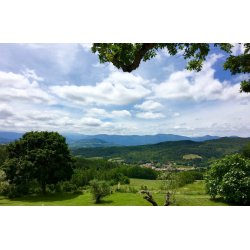 Frankrig Yoga Retreat 18-25. september 2026