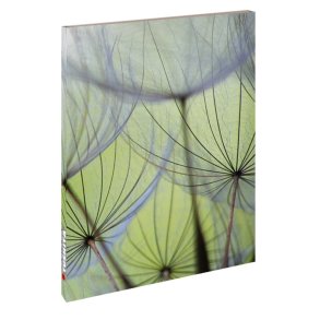 Notesbog, M�lkeb�tte